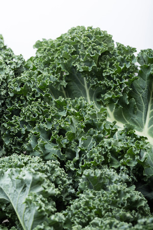 A healthy fresh curly kaleの写真素材