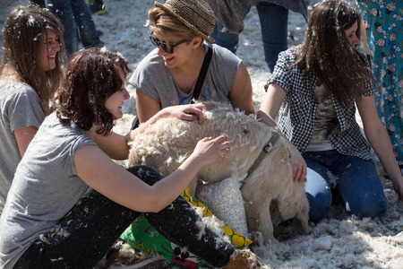 KRAKOW, POLAND - APRIL 11, 2015:  International pillow fight on April 11, 2015 in Old Market Square in Cracow. Polandのeditorial素材