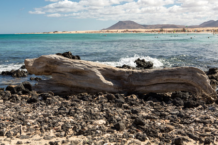 Corralejo Beach on Fuerteventura, Canary Islands. Spainの写真素材