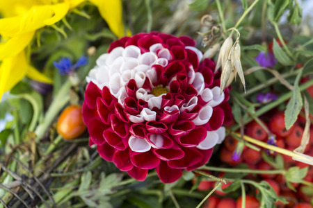 handmade  beautiful bouquets from flowers and herbsの写真素材
