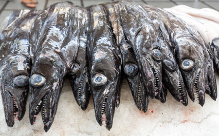 Fish on market, black scabbard (espada) in fish market
