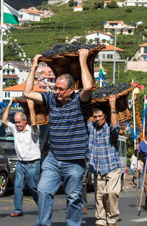 ESTREITO DE CAMARA DE LOBOS, PORTUGAL - SEPTEMBER 10, 2016: Men carrying baskets of grapes wearing in traditional costumes at Madeira Wine Festival in Estreito de Camara de Lobos, Madeira, Portugal. The Madeira Wine Festival honors the grape harvest with のeditorial素材