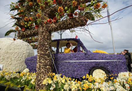 NOORDWIJK, NETHERLANDS - 22 APRIL 2017: Platform with  tulips and hyacinths during the traditional flowers parade Bloemencorso from Noordwijk to Haarlem in the Netherlands.のeditorial素材
