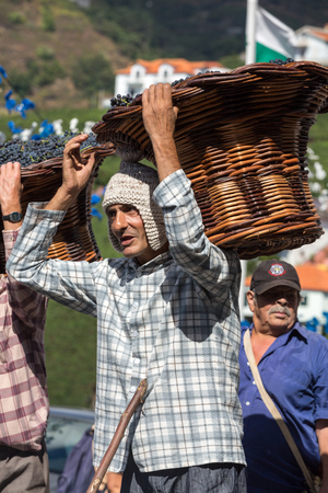 ESTREITO DE CAMARA DE LOBOS, PORTUGAL - SEPTEMBER 10, 2016: Men carrying baskets of grapes wearing in traditional costumes at Madeira Wine Festival in Estreito de Camara de Lobos, Madeira, Portugal. The Madeira Wine Festival honors the grape harvest with のeditorial素材