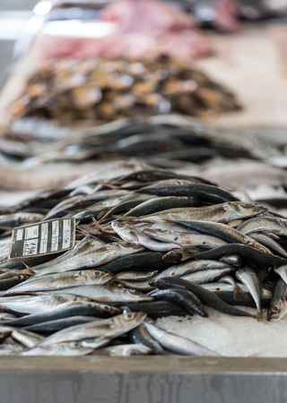 Fresh fish catch on sale at local fish marketの写真素材