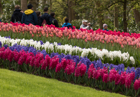LISSE, NETHERLANDS - APRIL 19, 2017: Visitors at the Keukenhof Garden in Lisse, Holland, Netherlands.のeditorial素材