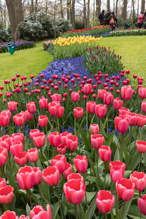 LISSE, NETHERLANDS - APRIL 19, 2017: Visitors at the Keukenhof Garden in Lisse, Holland, Netherlands.のeditorial素材