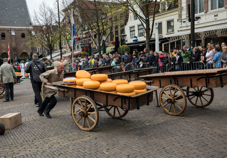 ALKMAAR, THE NETHERLANDS - APRIL 21, 2017: Typical cheese market in the city of Alkmaar in Netherlands, one of the only four traditional Dutch cheese markets still in existence and one of the country's most popular tourist attractions.のeditorial素材