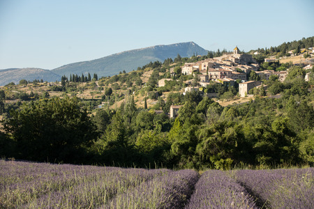 a lavender field with the village of Aurel beyond, the Vaucluse, Provence, Franceの写真素材