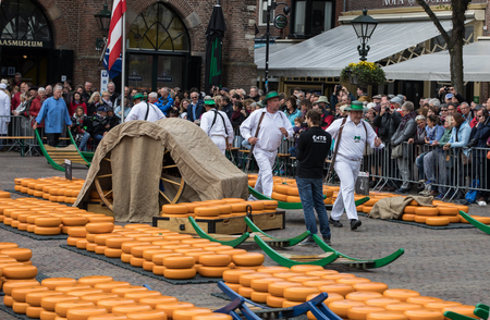 ALKMAAR, THE NETHERLANDS - APRIL 21, 2017: Typical cheese market in the city of Alkmaar in Netherlands, one of the only four traditional Dutch cheese markets still in existence and one of the country's most popular tourist attractions. のeditorial素材
