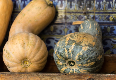 Close up of  yellow and green courgettes の写真素材