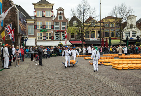 ALKMAAR,  NETHERLANDS - APRIL 21, 2017:  Carriers walking with many cheeses in the famous Dutch cheese market in Alkmaar, The Netherlands. The event happens in the Waagplein square. のeditorial素材