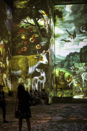 Les Baux, France - June 26, 2017: The Fantastic and Wonderful World of Bosch, Brueghel and Arcimboldo. The show lasts about thirty minutes and contains over 2,000 digital images displayed on an area of 7,000 m2 in the Carrières de Lumières with countless のeditorial素材