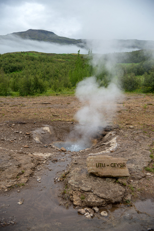  View of a Meadow with Steaming Hot Springs, Haukadalur Valley, Southern Icelandのeditorial素材