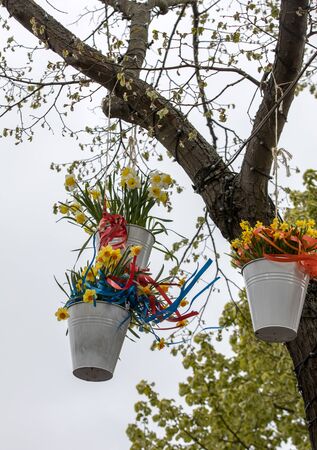Noordwijkerhout, Netherlands - April 23,  2017: Decorations with hanging pails with yellow daffodils at the traditional flowers parade Bloemencorso from Noordwijk to Haarlem in the Netherlandsのeditorial素材