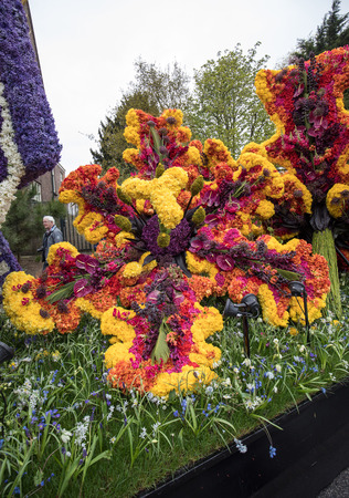 Noordwijkerhout, Netherlands - April 21,  2017: Platform with  tulips and hyacinths during the traditional flowers parade Bloemencorso from Noordwijk to Haarlem in the Netherlands. のeditorial素材