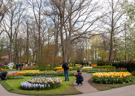 Lisse Netherlands - April 19, 2017: Visitors at the Keukenhof Garden in Lisse, Holland, Netherlands.のeditorial素材