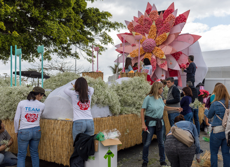 Funchal; Madeira; Portugal - April 22; 2018: The last moments before the parade, work on floral float decoration at the Madeira Flower Festival , Funchal, Madeira, Portugalのeditorial素材