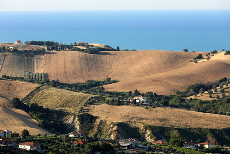 Panoramic view of olive groves and farms on rolling hills of Abruzzo and in the background the Adriatic Sea. Italyの写真素材