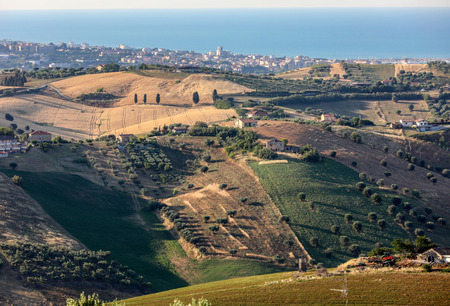Panoramic view of olive groves and farms on rolling hills of Abruzzo and in the background the Adriatic Sea. Italyの写真素材