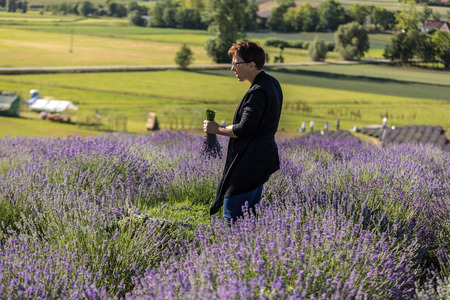 Ostrow, Poland - June 6, 2018: A 'Garden full of lavender' arranged by Barbara and Andrzej Olender in OstrÃ³w 40 km from Krakow. The smell and color of lavender allows visitors to feel like in Provenceのeditorial素材