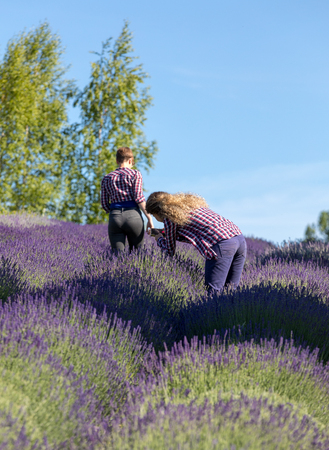 Two beautiful  woman  in the middle of a lavender field in bloom. Ostrow near Cracow, Polandのeditorial素材