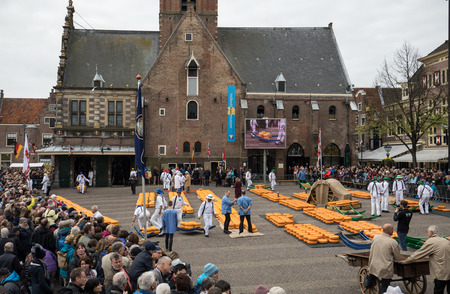 ALKMAAR, THE NETHERLANDS - APRIL 21, 2017: Typical cheese market in the city of Alkmaar in Netherlands, one of the only four traditional Dutch cheese markets still in existence and one of the country's most popular tourist attractions.のeditorial素材