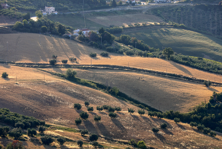 Panoramic view of olive groves and farms on rolling hills of Abruzzo. Italyの写真素材