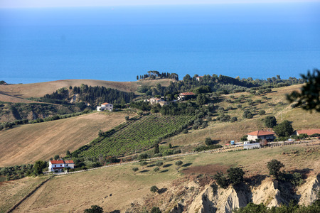 Panoramic view of olive groves and farms on rolling hills of Abruzzo and in the background the...