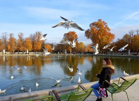 Paris, France - November 2017: Autumn in the Jardin des Tuileries, Paris, Franceのeditorial素材
