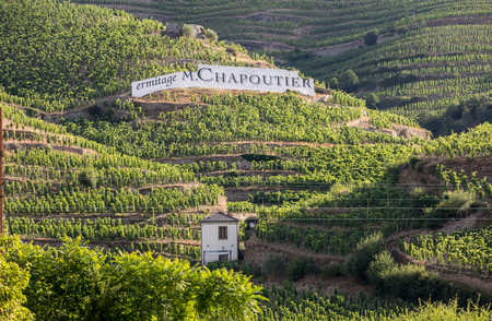 Tain l'Hermitage, France - June 28, 2017: View of the M. Chapoutier Crozes-Hermitage vineyards in Tain l'Hermitage, Rhone valley, Franceのeditorial素材