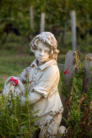 Statue of a boy holding a basket with grapes on the background of vineyards in the Saint Emilion region. Franceの写真素材