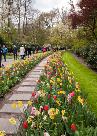 Lisse Netherlands - April 19, 2017: Visitors at the Keukenhof Garden in Lisse, Holland, Netherlands.のeditorial素材