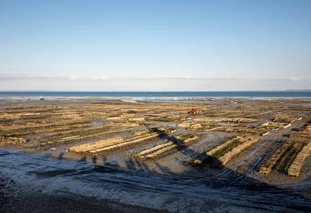 Oyster beds at low tide in oyster farm, Cancale, Brittany, Franceの写真素材