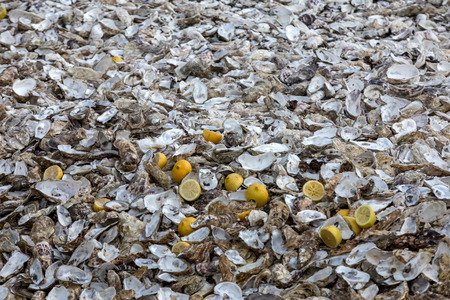 Thousands of empty shells of eaten oysters discarded on sea floor in Cancale, famous for oyster farms.  Brittany, Franceの写真素材