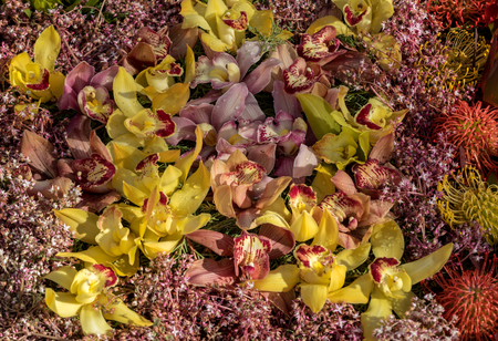 Beauty floristic decoration with colorful tropical flowers