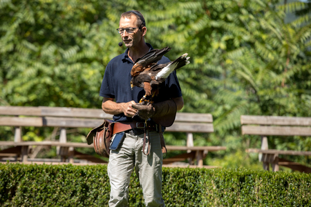 Milandes; France - September 4; 2018:; the show of birds of prey at Chateau des Milandes; a castle; in the Dordogne; Aquitaine; Franceのeditorial素材
