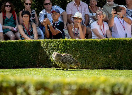 Milandes, France - September 4, 2018: Tourists are watching the show of birds of prey at Chateau des Milandes, a castle  in the Dordogne, Aquitaine, Franceのeditorial素材