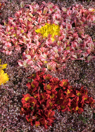 Beauty floristic decoration with colorful tropical flowersの写真素材