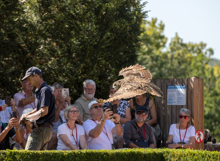 Milandes, France - September 4, 2018: Tourists are watching the show of birds of prey at Chateau des Milandes, a castle  in the Dordogne, Aquitaine, Franceのeditorial素材