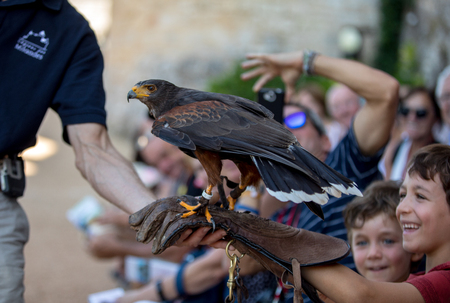 Milandes, France - September 4, 2018: Tourists are watching the show of birds of prey at Chateau des Milandes, a castle  in the Dordogne, Aquitaine, Franceのeditorial素材
