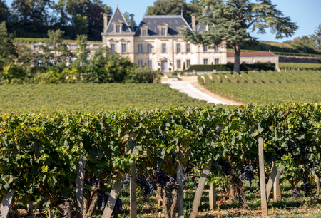 Saint Emilion, France - September 11, 2018: Vineyard of Chateau Fonplegade - name (literally fountain of plenty) was derived from the historic 13th century stone fountain that graces the estate's vineyard. St Emilion, Franceのeditorial素材