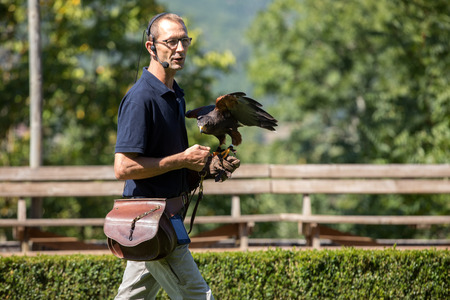 Milandes; France - September 4; 2018:; the show of birds of prey at Chateau des Milandes; a castle; in the Dordogne; Aquitaine; Franceのeditorial素材
