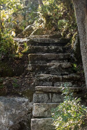 Old stone stairs  in the gardens of the Jardins de Marqueyssac in the Dordogne region of France