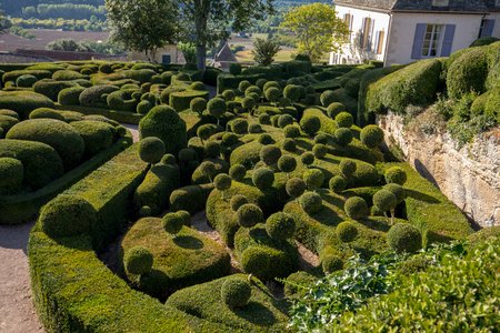Dordogne, France - September 3, 2018:  Topiary in the gardens of the Jardins de Marqueyssac in the Dordogne region of Franceのeditorial素材