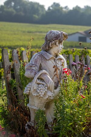 Statue of a boy holding a basket with grapes on the background of vineyards in the Saint Emilion region. Franceの写真素材