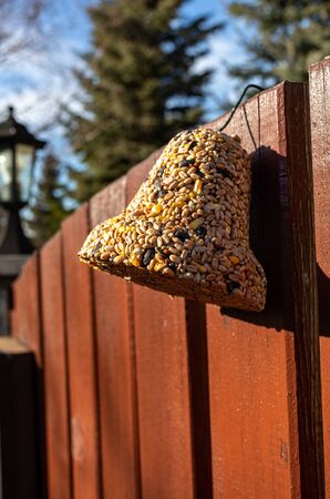 Bell from various grains, a delicacy for all the birds in the gardenの写真素材