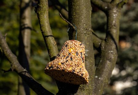 Bell from various grains, a delicacy for all the birds in the garden