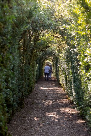 Dordogne, France - September 3, 2018: Plant Tunnel in  the gardens of the Jardins de Marqueyssac in the Dordogne region of Franceのeditorial素材