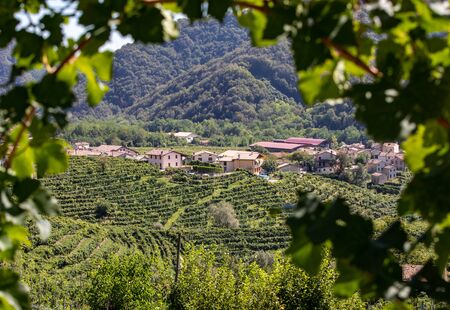 Picturesque hills with vineyards of the Prosecco sparkling wine region between Valdobbiadene and Conegliano; Italy.の写真素材
